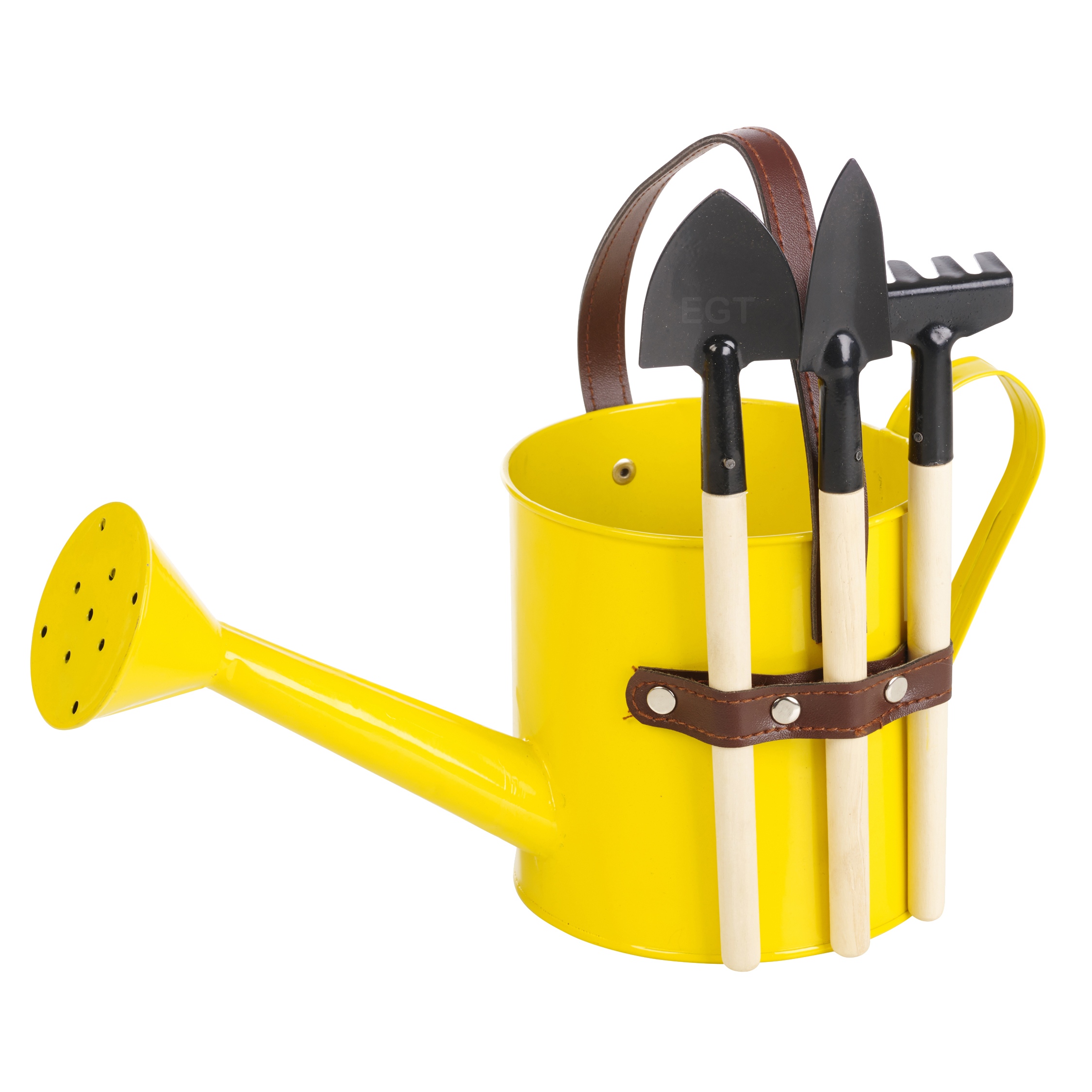 Mini Indoor Outdoor Metal Watering Can Bucket + 3 Gardening Flower Pot Tools Set eBay