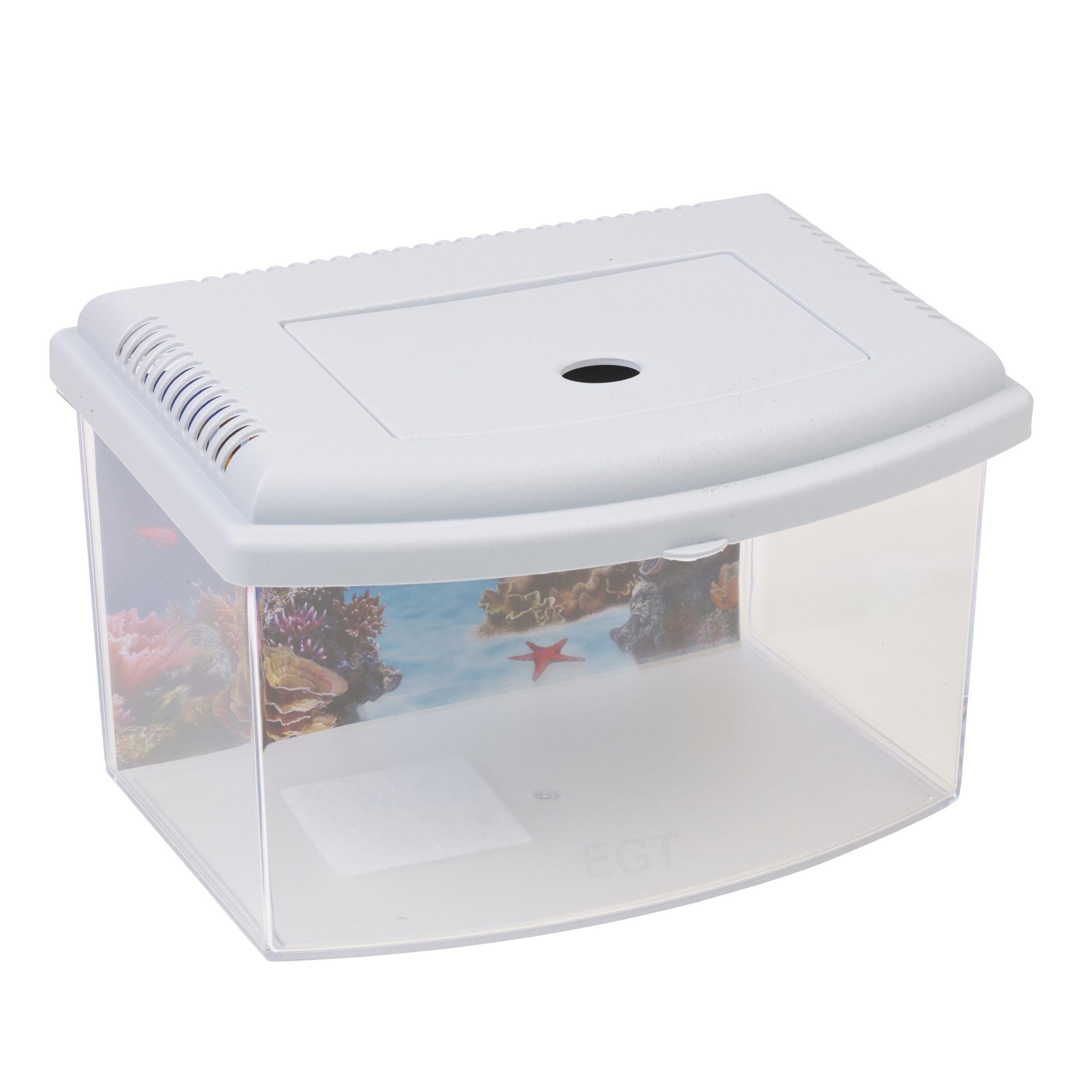 6 Litre Starter Aquarium Fish Reptile Insect Tank Vivarium With Lid