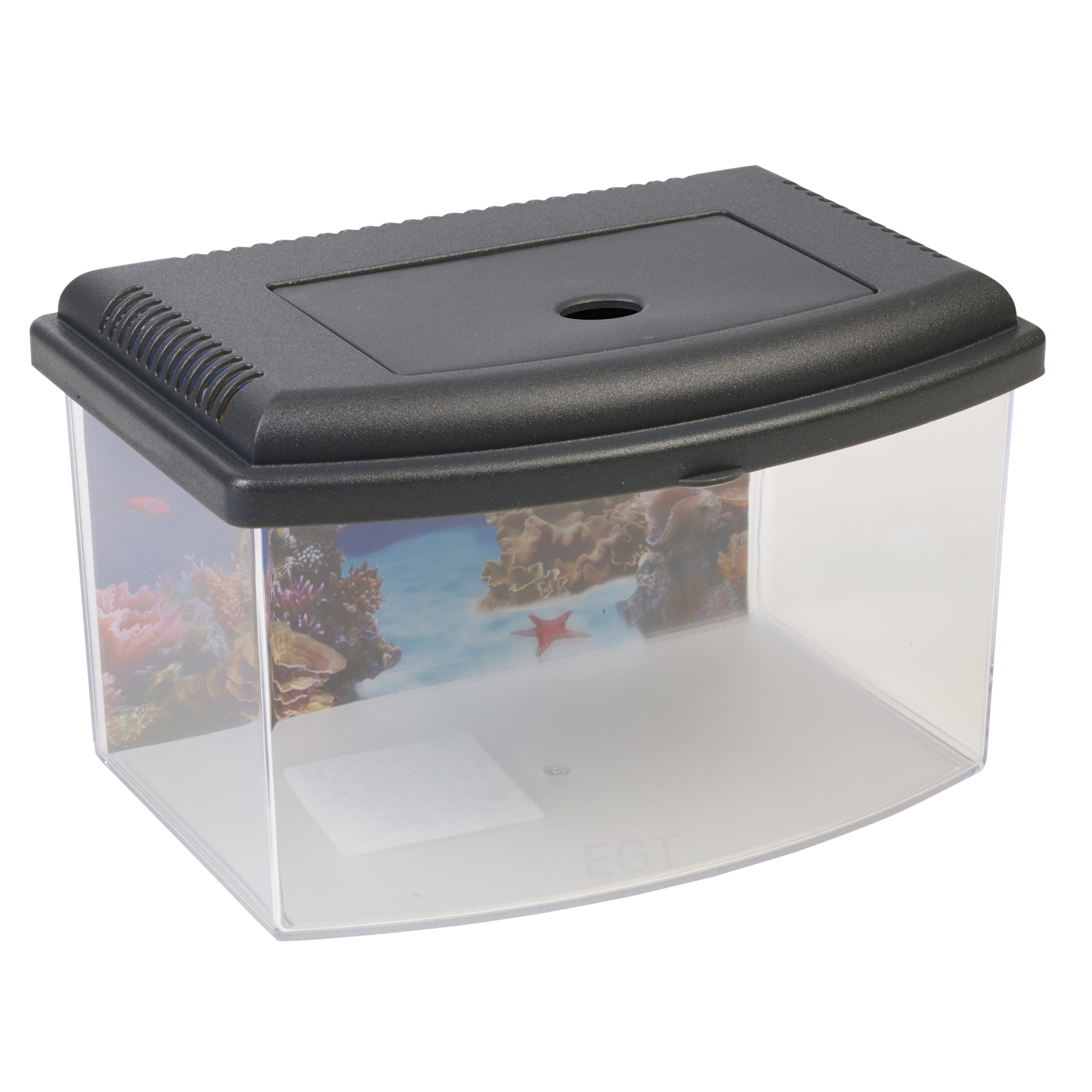 6 Litre Starter Aquarium Fish Reptile Insect Tank Vivarium With Lid