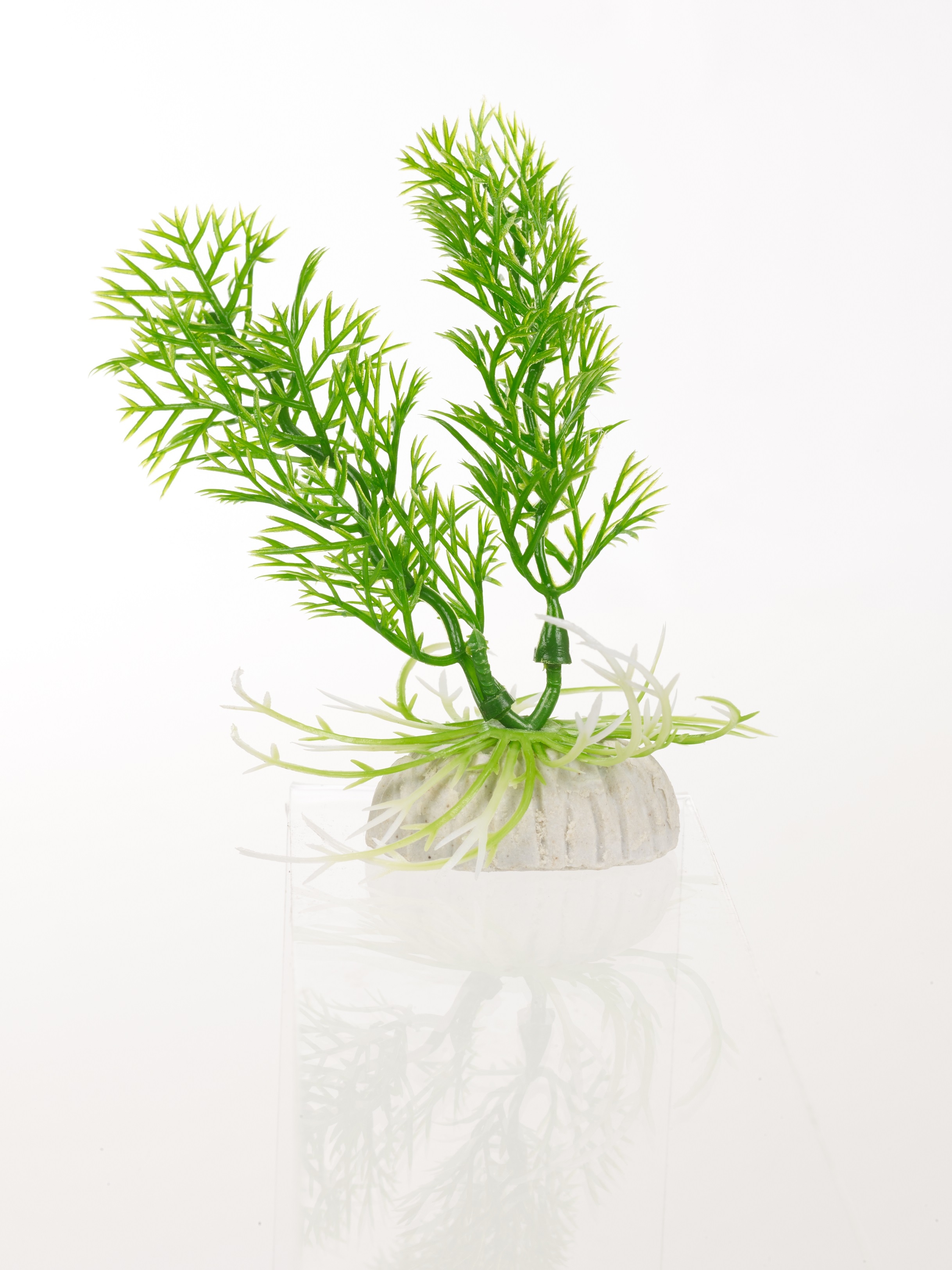 2.8Ltr Fish Bowl & Accessories Starter Aquarium Goldfish Betta Tank