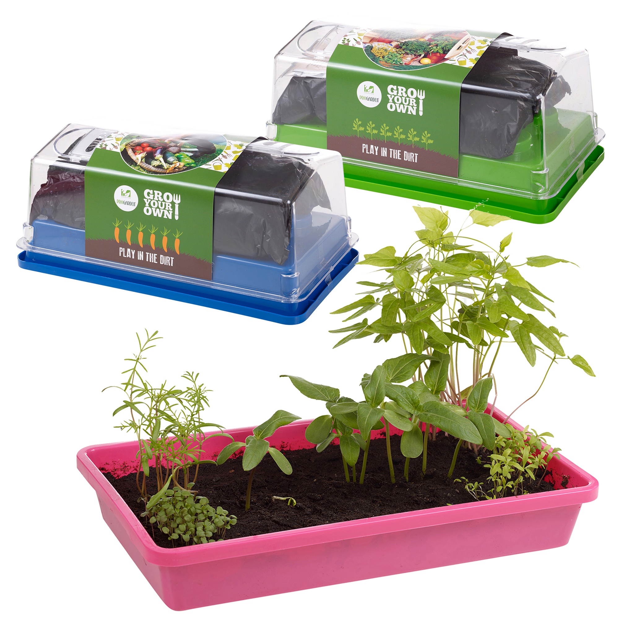 Indoor Propagator Home Grow Planter Kit Vegetables Herbs Flowers Seed Greenhouse eBay Indoor Propagator Home Grow Planter Kit Vegetables Herbs Flowers Seed Greenhouse eBay