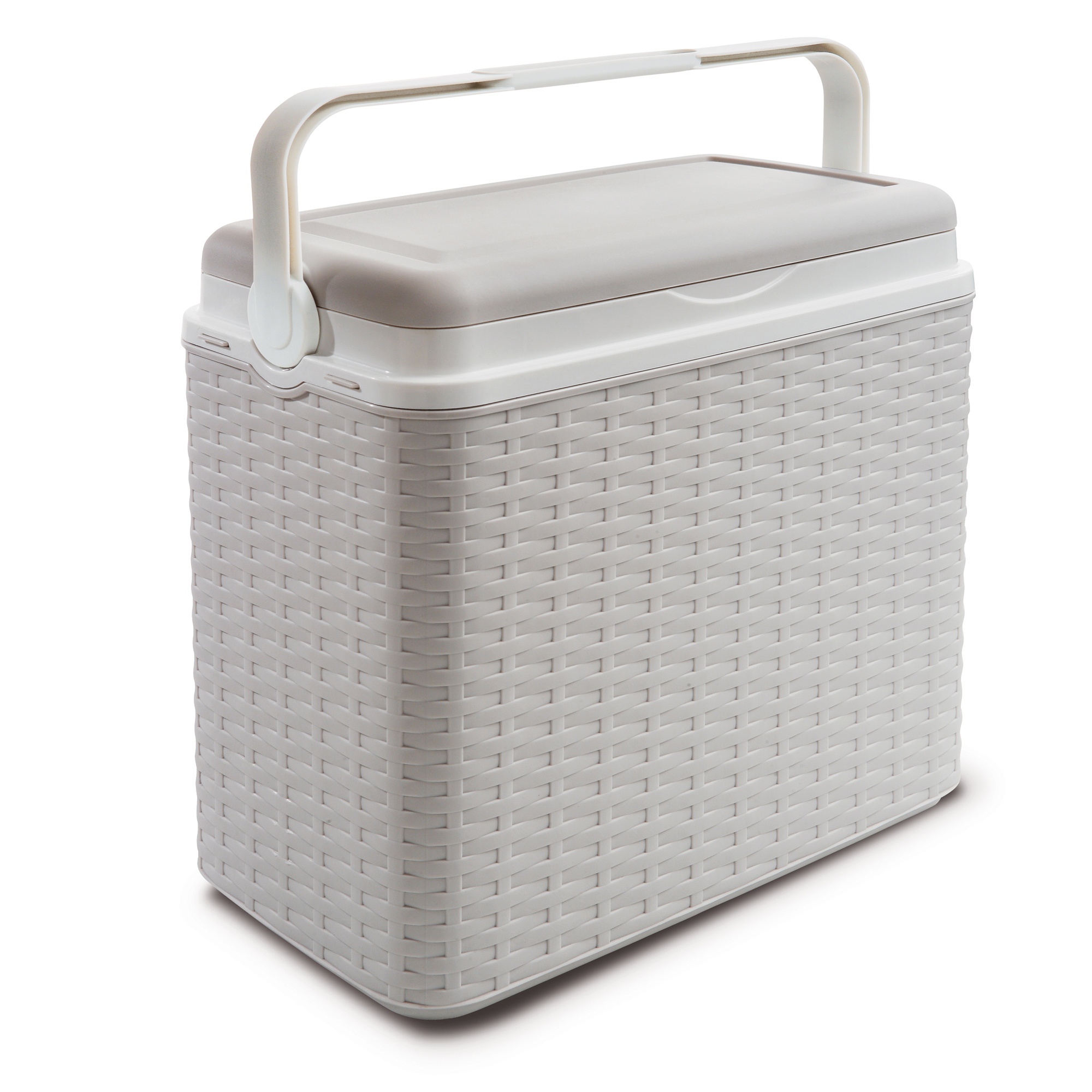Large 24 Litre Rattan Design Cooler Box 2 Ice Packs Lunch Picnic Beach