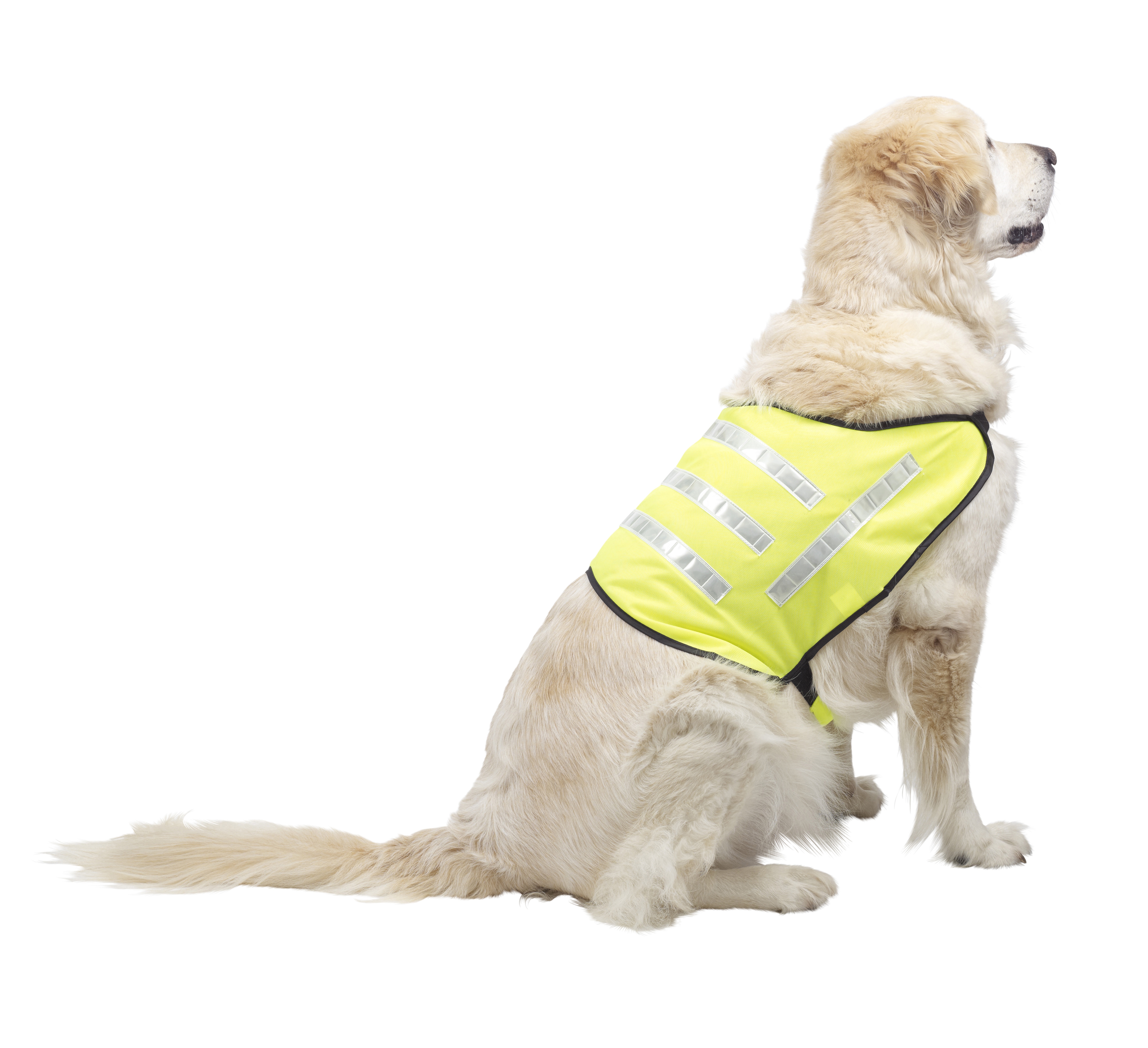 High Visibility XL Extra Large Dog Reflective Safety Jacket Reflector