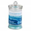 Candle scented in glass 12ass [521480]