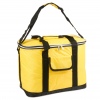 Large 30L Cooler Bag [599780]