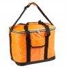 Large 30L Cooler Bag [599780]