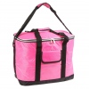 Large 30L Cooler Bag [599780]