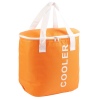 30L Foil Lined Cooler Bag [533982]