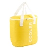30L Foil Lined Cooler Bag [533982]