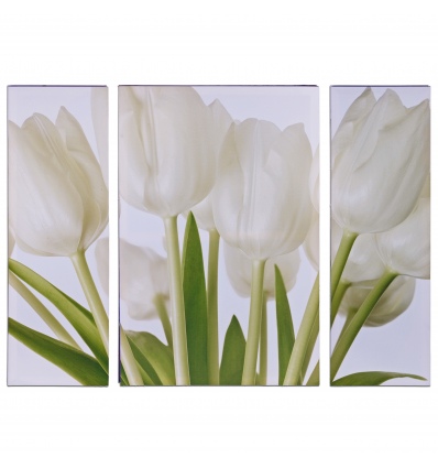 Cream Tulips Triptych Canvas [107853]