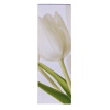 Cream Tulips Triptych Canvas [107853]