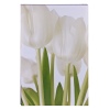 Cream Tulips Triptych Canvas [107853]