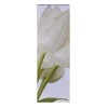 Cream Tulips Triptych Canvas [107853]