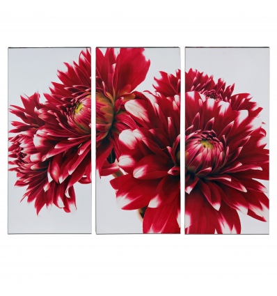 Three Red Dahlias [128735]