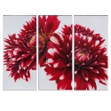 Three Red Dahlias Wall Canvas [128735]