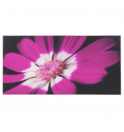 Plum Daisy Canvas [126854]