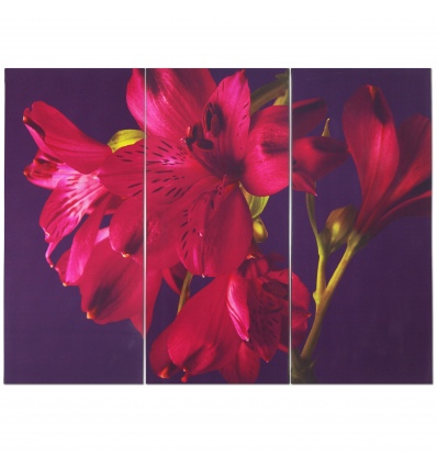 Purple Lilly Triptych [126670]