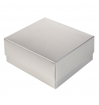 Silver Gift Box & Lid [B/63009]