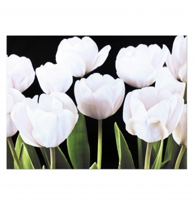 Black & White Tulips Canvas [128841]