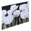 Black & White Tulips Canvas [128841]