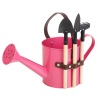 Watering Can With Tools [588753]