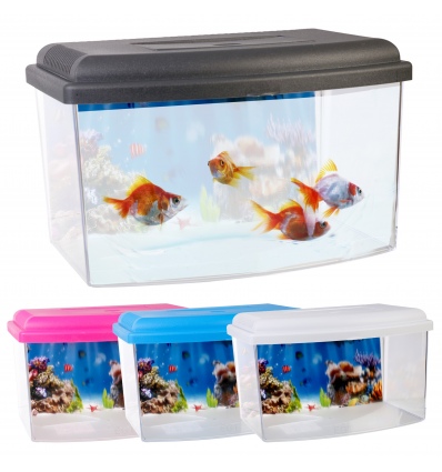 Aquarium Fish Tank [879295]