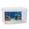 Aquarium Fish Tank [879295]