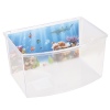 Aquarium Fish Tank [879295]