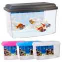 Aquarium Fish Tank [879202]