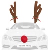 Novelty Reindeer Car Antler & Nose [027909]