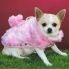 Flamingo Dog Coat