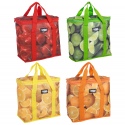 16L Fruity Cooler Bag [999000]