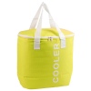 30L Foil Lined Cooler Bag [533982/861146]