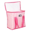 Stripy 16L Coolerbag [599919]