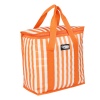 Stripy 16L Coolerbag [599919]