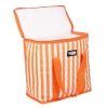 Stripy 16L Coolerbag [599919]