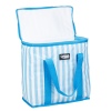 Stripy 16L Coolerbag [599919]