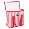 Stripy 16L Coolerbag [599919]