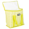 Stripy 16L Coolerbag [599919]