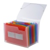 Document Organiser File with 13 Pockets [534002]
