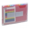 Document Organiser File with 13 Pockets [534002]