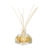 Air Freshener Perfume Diffuser 100ml [862984]