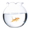 Flamingo Glass Fish Bowl