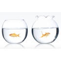 Flamingo Glass Fish Bowl