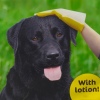 Pack of 2 Dog Grooming Gloves with Lotion [255281]