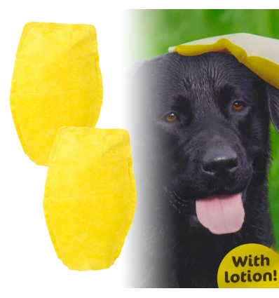 Pack of 2 Dog Grooming Gloves with Lotion [255281]