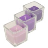 Set of 3 Wax Scented Candles in Glass Holders [934208]