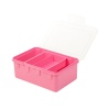 Storage Box With Removable Tray [976444]