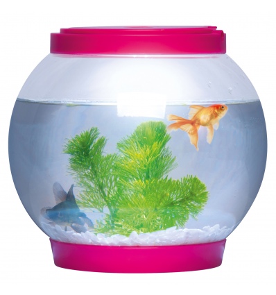 Fish Bowl with LED Light [539591]