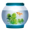 Fish Bowl with LED Light [539591]